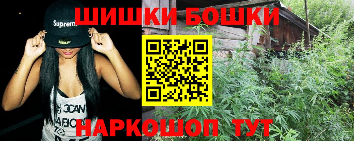 Альфа ПВП Гудермес